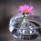 🎄🎁Perfect Gift For Plant Lovers🌷2025 Creative Floating Floral Arrangement Holder