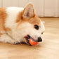 Hot Sale 50% OFF🎁Smart Pet Bounce Interactive Ball🐶