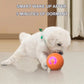 Hot Sale 50% OFF🎁Smart Pet Bounce Interactive Ball🐶