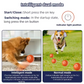 Hot Sale 50% OFF🎁Smart Pet Bounce Interactive Ball🐶