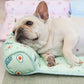 Ice Silk Cooling Mat for Dogs & Cats🐶