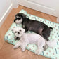 Ice Silk Cooling Mat for Dogs & Cats🐶