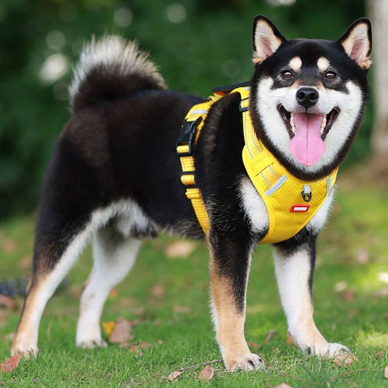 Reflective Dog Chest Strap-8