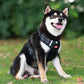 Reflective Dog Chest Strap-7