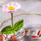 🎄🎁Perfect Gift For Plant Lovers🌷2025 Creative Floating Floral Arrangement Holder