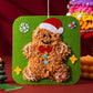🎄Christmas Sale 50% OFF🎅DIY Christmas Embroidery Kit🎁
