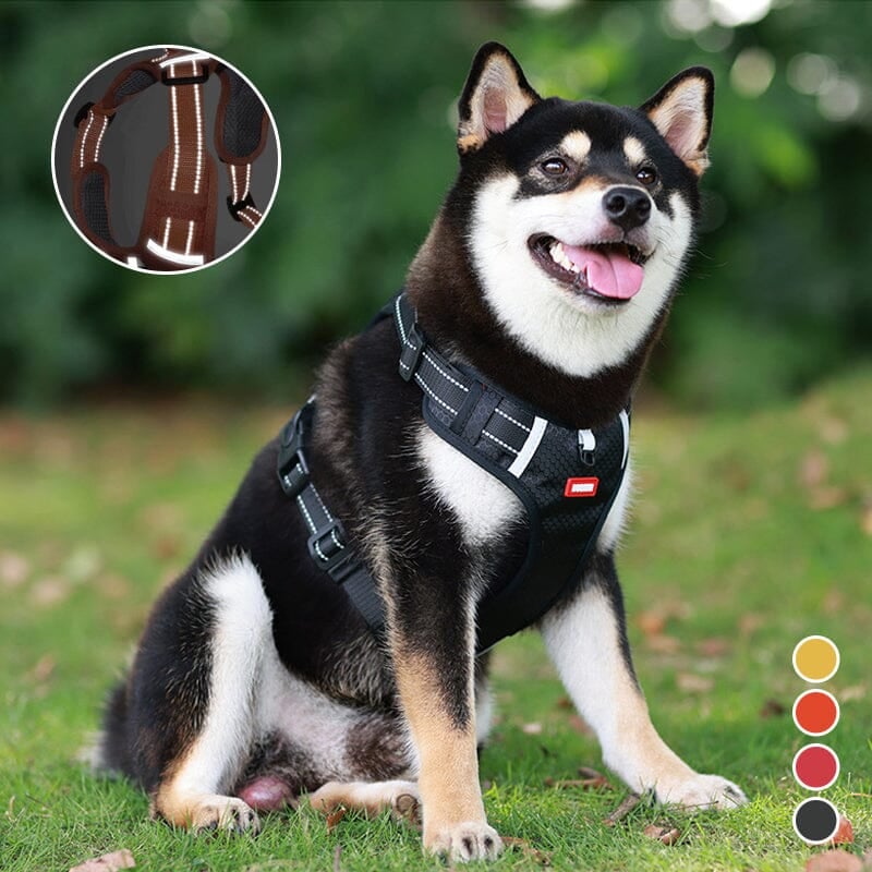 Reflective Dog Chest Strap-13