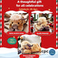 🎁Cute Cartoon Highland Cow Cuddly Toy