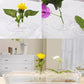 🎄🎁Perfect Gift For Plant Lovers🌷2025 Creative Floating Floral Arrangement Holder