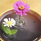 🎄🎁Perfect Gift For Plant Lovers🌷2025 Creative Floating Floral Arrangement Holder