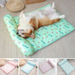Ice Silk Cooling Mat for Dogs & Cats🐶