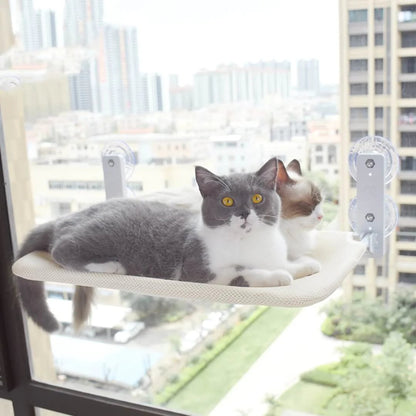 🔥Summer Promotion - 50% OFF🔥Cat Hammock Suction Cup