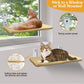 🔥Summer Promotion - 50% OFF🔥Cat Hammock Suction Cup