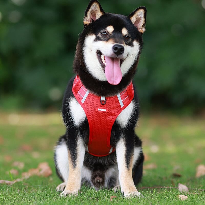 Reflective Dog Chest Strap-9