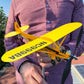 Airplane Weathervane-Gifts for flight lovers-12