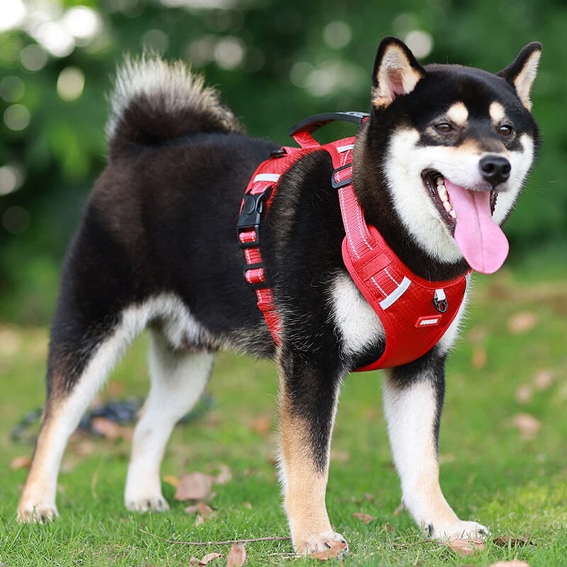 Reflective Dog Chest Strap-10