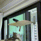 🔥Summer Promotion - 50% OFF🔥Cat Hammock Suction Cup