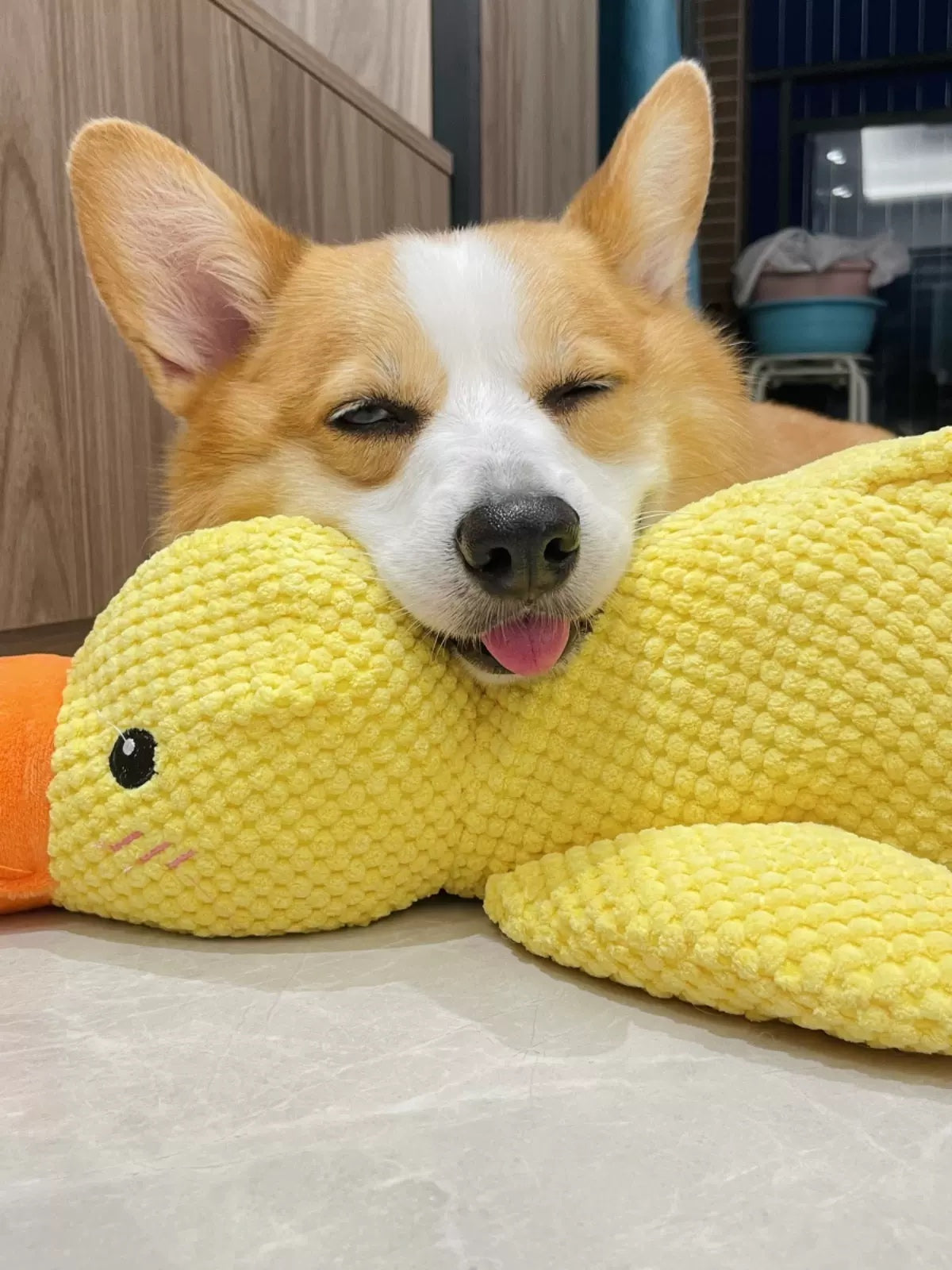 Quack-Quack Duck Dog Toy-1