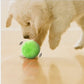 🔥Last Day Promotion 49% OFF🔥 Active Rolling Ball (4 Colors Included)-3