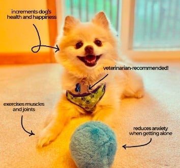 🔥Last Day Promotion 49% OFF🔥 Active Rolling Ball (4 Colors Included)-4