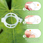 🔥🔥🌱Summer Promotion 50%OFF — Secured Plastic Plant Clips🔥🔥