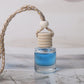 Scented Car Freshener - Car Air Freshener Diffuser - Last 60+ Days