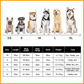 🔥New Sale 49% OFF🔥Super Absorbent Pet Bathrobe