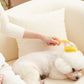🔥🐶Pet Bath Brush with Long Handle & Shampoo Dispenser🌿