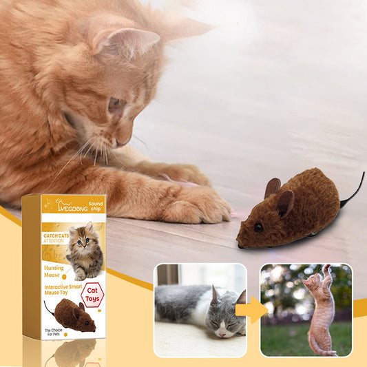🔥2025 Hot Sale 50% OFF🔥🐭Mouse Toy for Cats and Dogs🐁