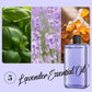 Automatic Aromatherapy Diffuser